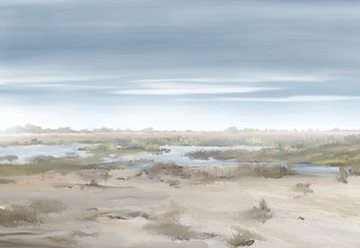 霧の立ち込める湿地帯の風景 作： Jenna Alheit
