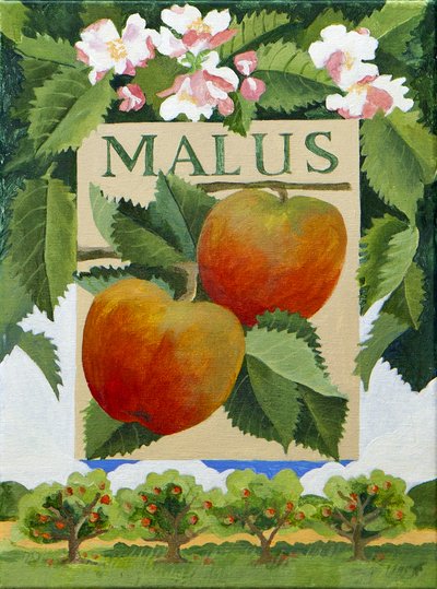 Malus (apple), 2014（キャンバスにアクリル絵の具） 作： Jennifer Abbott