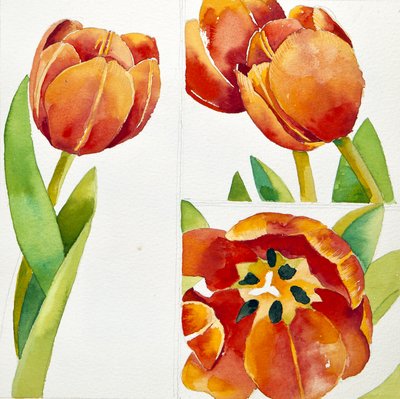 3つのチューリップの習作, 2013 （水彩画） 作： Jennifer Abbott