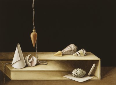 錯視、2005（紙にトイレ） 作： Jenny Barron