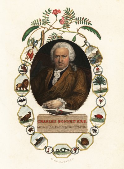 ジュネーブの自然主義者、シャルル・ボネの肖像.1803年（彫刻） 作： Jens Juel