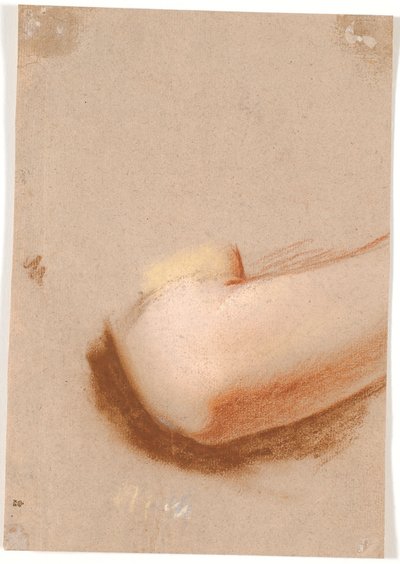 女性の右肘関節の研究 作： Jens Juel