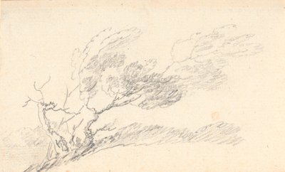 風の中の木の研究 作： Jens Juel