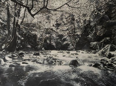 川の風景、2024年（キャンバスに油彩） 作： ジェローム・グロモー
