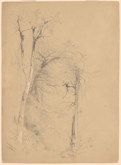 カータースキル クローブ 作： Jervis McEntee