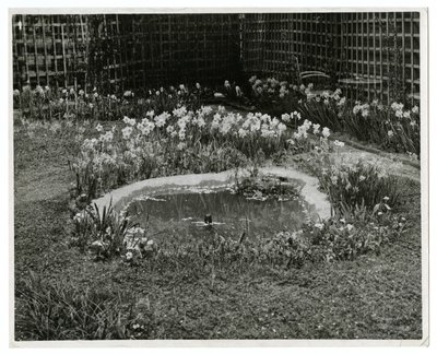 Wm H Wells夫妻の庭 265 W 11th St, New York, USA 作： Jessie Tarbox Beals