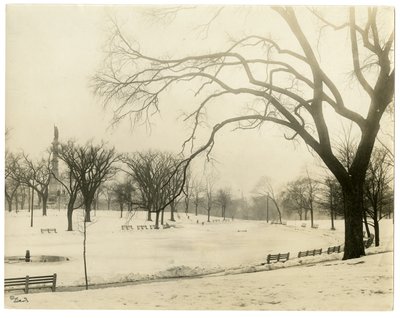 アメリカ、ボストン、ザ・コモン、1902-10年頃（ゼラチンシルバー写真 作： Jessie Tarbox Beals