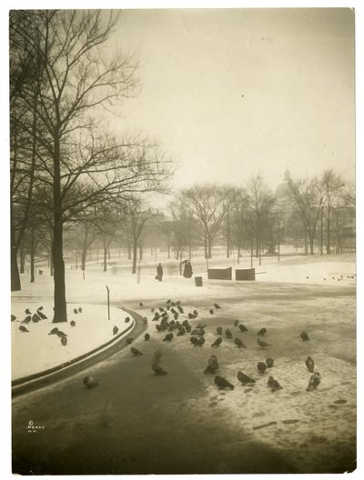アメリカ、ボストン、コモンでの異常な寒さ、1902-10年頃（ゼラチンシルバー写真 作： Jessie Tarbox Beals