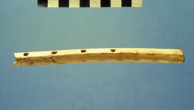 ダビデ市フルート、紀元前799〜600年頃（骨） 作： Jewish School