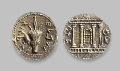 Bar Kochba Revolt、134 AD（metal）のセラコイン 作： Jewish School