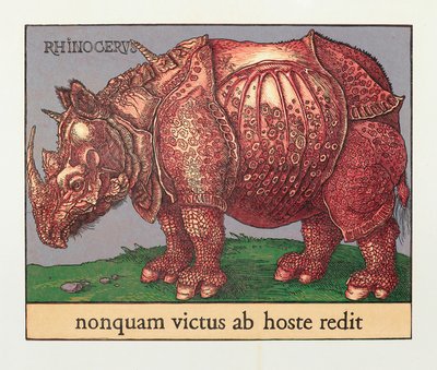 赤いサイ、2007年（木版画） 作： Jim Monson