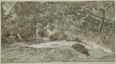 張り出した枝のある急流 (裏面) 作： Joachim Franz Beich