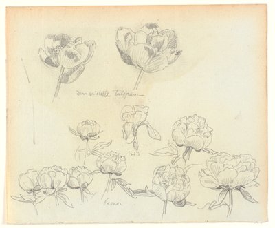 花学 作： Joakim Frederik Skovgaard