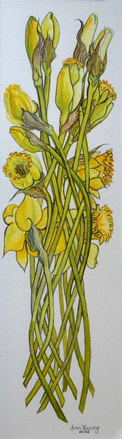 水仙、2008、 作： Joan Thewsey