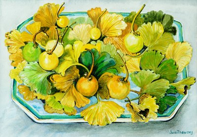 イチョウ、果実と葉、2010年、水彩 作： Joan Thewsey