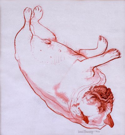 Hogarth Sleeping、2005年（湿紙にインク） 作： Joan Thewsey