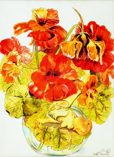 キンレンカ、2005、（水彩） 作： Joan Thewsey