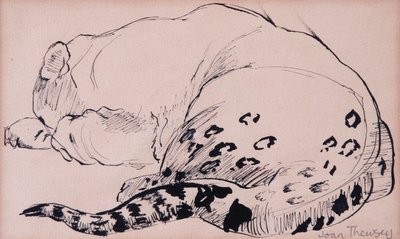 Sketch、Leopard、London Zoo 2005、（pen and ink） 作： Joan Thewsey
