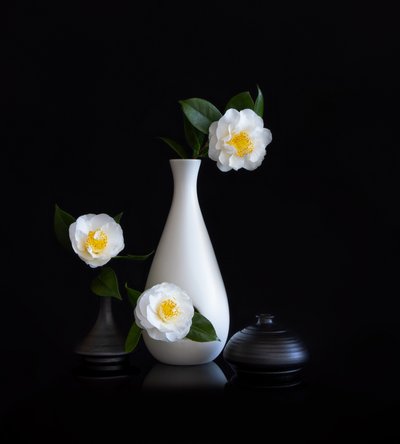 白い椿の静物画 作： 