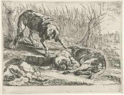 二匹の犬 犬（シリーズタイトル） 作： Joannes Fijt