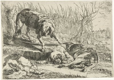 二匹の犬 犬（シリーズタイトル） 作： Joannes Fijt