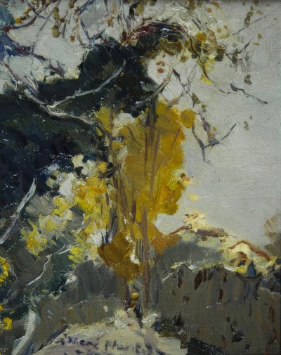 樹木 作： Joaquim Mir i Trinxet