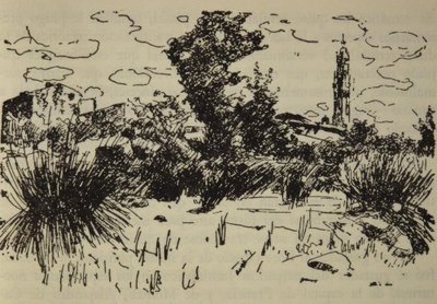 The Alforja 作： Joaquim Mir i Trinxet