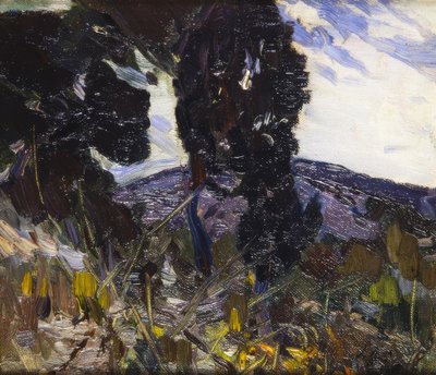 風景 作： Joaquim Mir i Trinxet