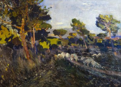 無題 作： Joaquim Mir i Trinxet