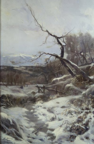 冬 作： Joaquim Mir i Trinxet