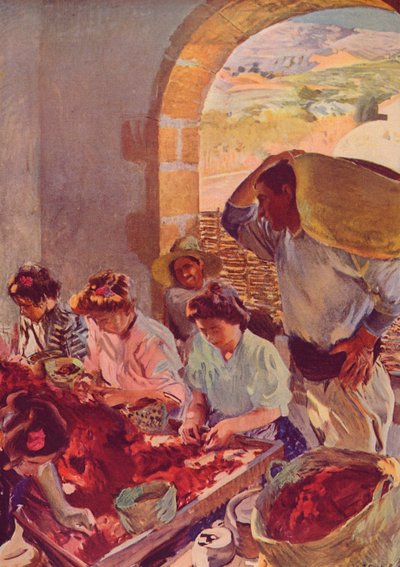 乾いたブドウの準備、1890、c1932 作： Joaquín Sorolla