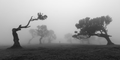  作： Jochen Bongaerts