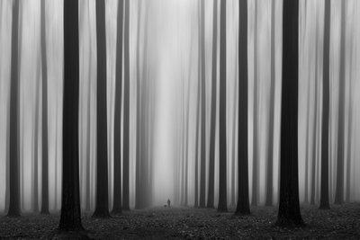 霧の立ち込める森の小道 作： Jochen Bongaerts