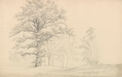  作： Johan Christian Dahl