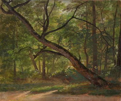 ドレスデン近郊の大庭園の敷地 作： Johan Christian Dahl
