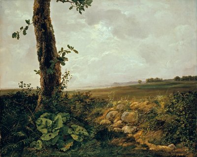Prestøの近くを見る 作： Johan Christian Dahl