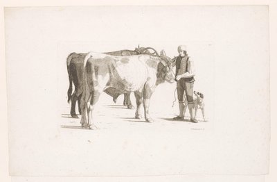 くびきをつけた 2 頭の牛の隣にいる男性と犬 作： Johan Jakob Biedermann