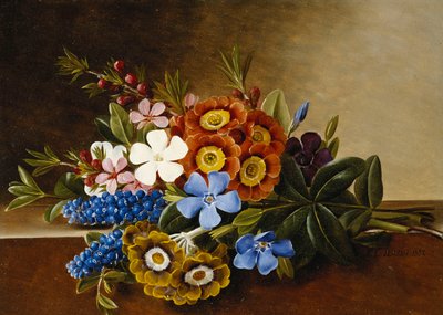 大理石の棚にあるペリウィンクル、オーリキュラ、グレープヒヤシンス、1882年 作： Johan Laurents Jensen