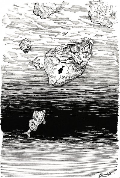 ビニールシートの下の魚 作： 