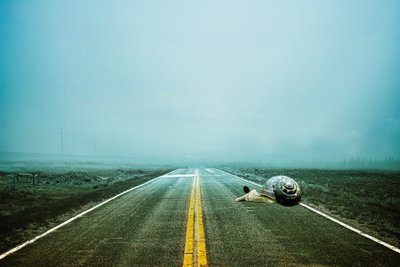 2020 ウェイ・バック、2020（デジタル・フォト・アート） 作： Johan Lilja