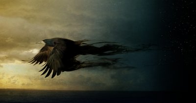 バードキングダム2、2018年（フォトアート） 作： Johan Lilja