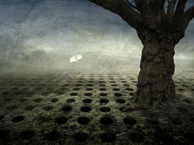 空っぽの穴、2014年（写真） 作： Johan Lilja