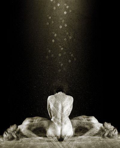 フリー、2013年（写真） 作： Johan Lilja