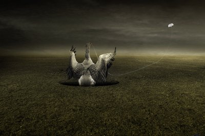 途中のヘルプ、2013年（写真） 作： Johan Lilja
