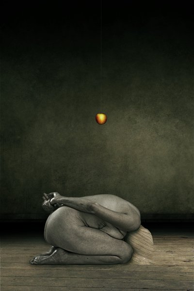 Hide my self、2013年（写真加工） 作： Johan Lilja