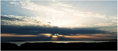 海辺、2018年（写真） 作： Johan Lilja