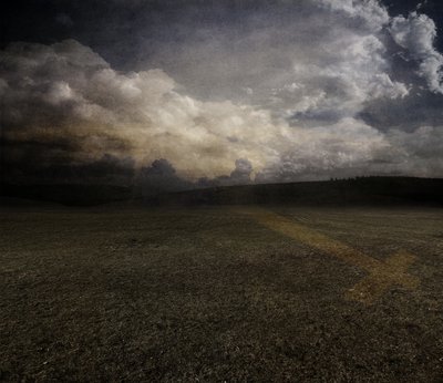 チューリップ、2015年（写真） 作： Johan Lilja