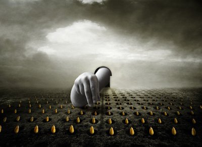 チューリップ泥棒、2013年（写真） 作： Johan Lilja