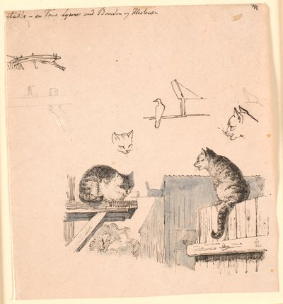 二匹の猫。 F.o. 猫の頭、鳥、猫の耳、梁の研究。 Kaalund の「Fables for Children」のイラスト。 シート カタログのコメントを参照してください。 作： Johan Thomas Lundbye