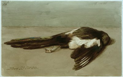 死んだカササギ 作： Johan Thomas Lundbye
